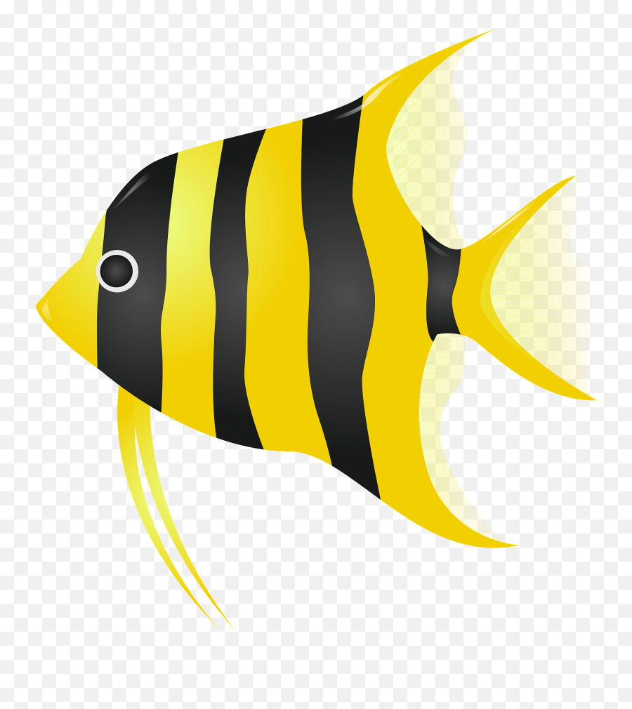 Angelfish Clipart Free Download Transparent Png Creazilla - Angelfish Clipart Emoji,Trout Clipart