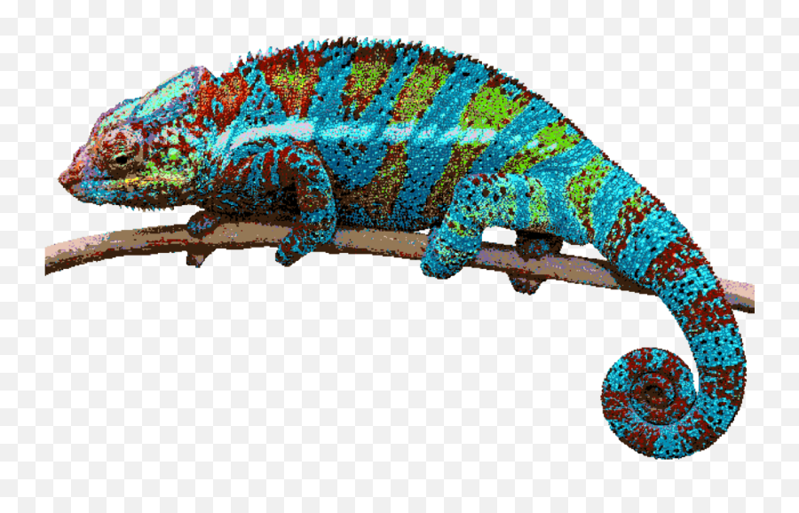 Reptile Chameleon Heloderma Png Clipart - Chameleon Transparent Background Emoji,Chameleon Clipart