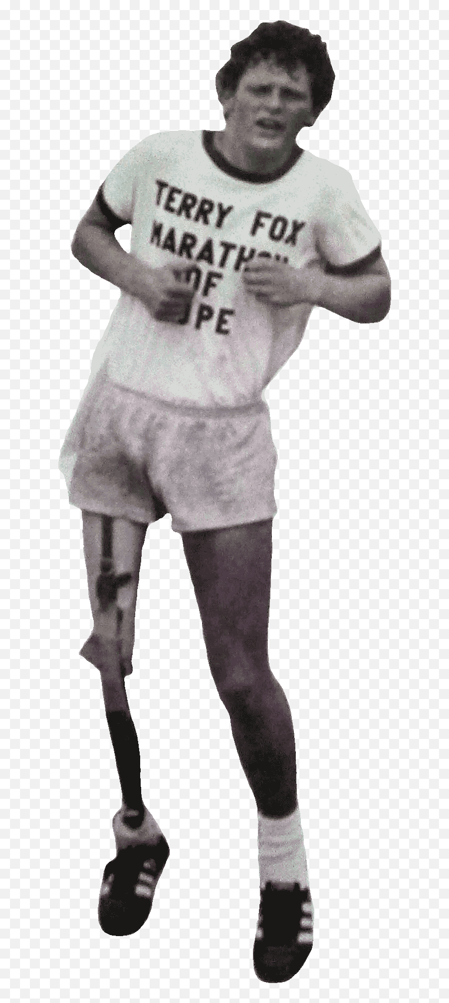 Terry Fox Png U0026 Free Terry Foxpng Transparent Images 10246 - Transparent Terry Fox Logo Emoji,Fox Transparent Background