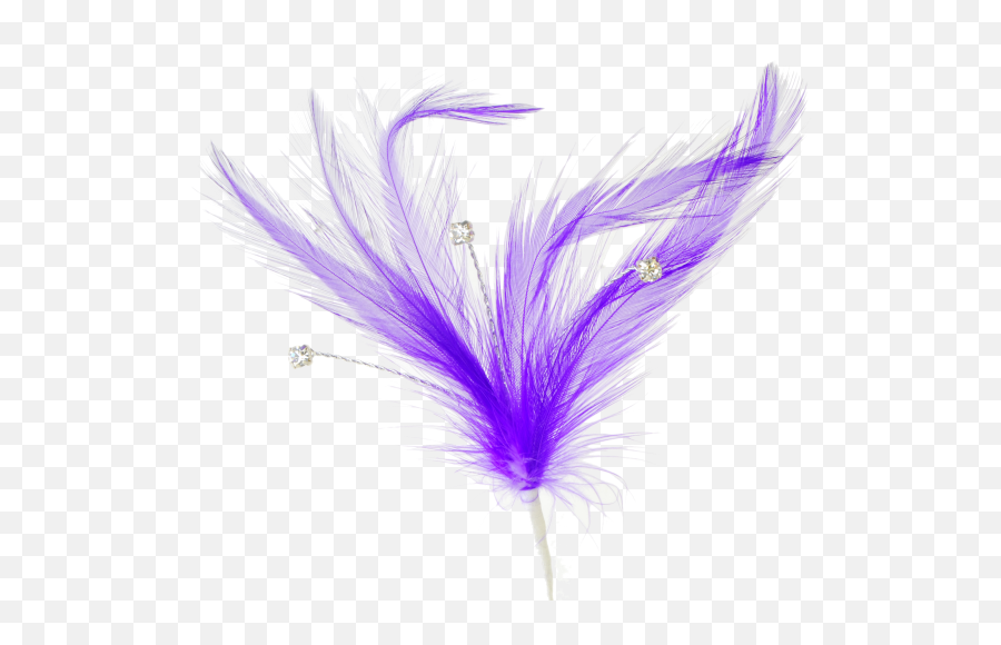 Single Peacock Feathers Png Download - Flutters Feathers Animal Product Emoji,Feathers Png