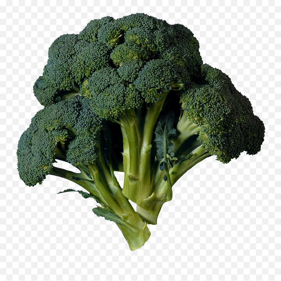 Broccoli Png Images Transparent - Transparent Broccoli Png Emoji,Broccoli Clipart