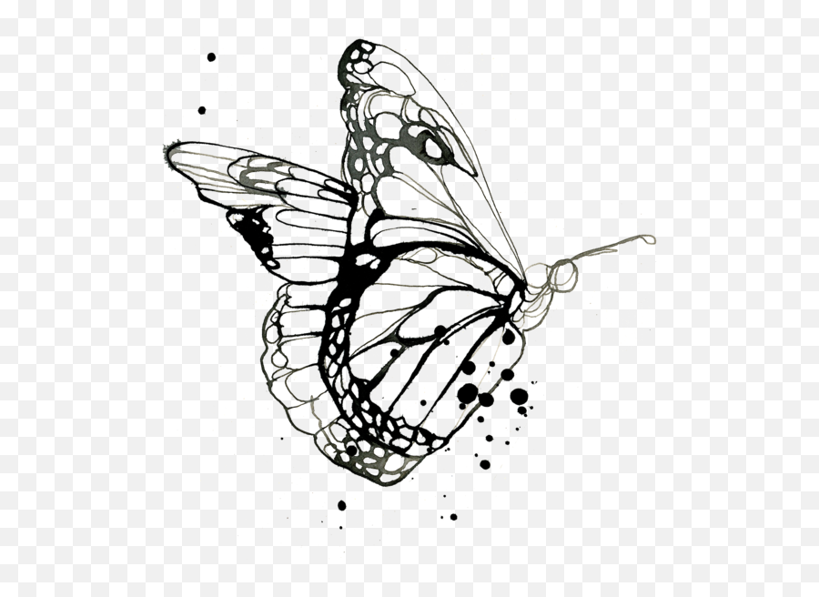 Butterfly Png Transparent Image - Butterfly Png Emoji,Butterfly Png