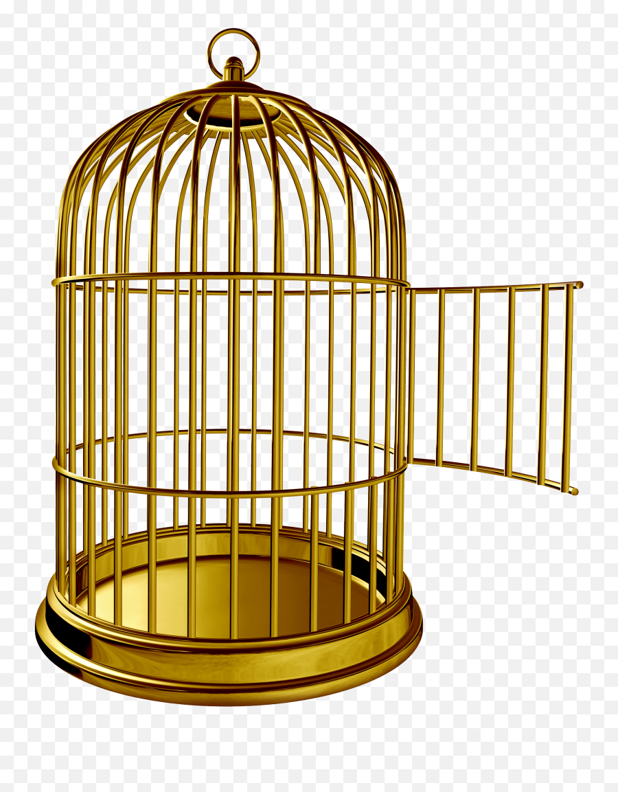 Golden Bird Cage Png Image - Cage Png Emoji,Cage Png
