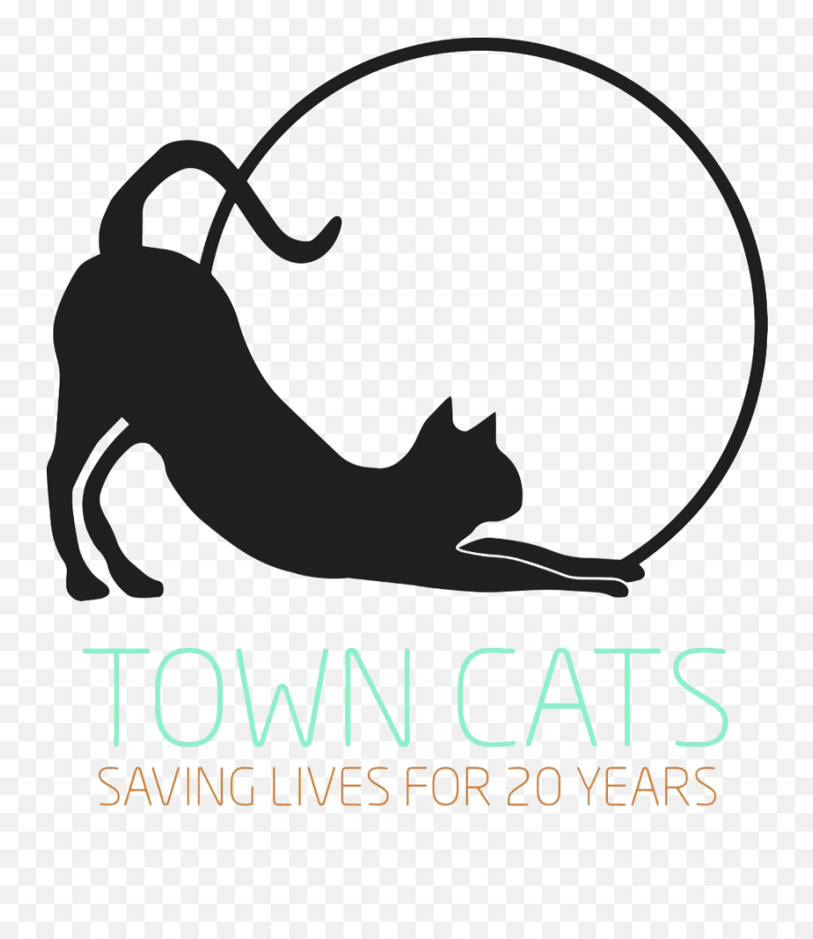 Cat Kitten Fosters Needed For Town Cats - Town Cats Of Morgan Hill Emoji,Cats Logo