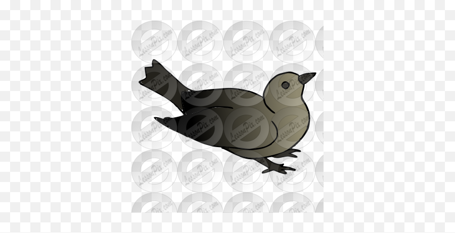 Blackbird Picture For Classroom Therapy Use - Great Emoji,Black Bird Clipart