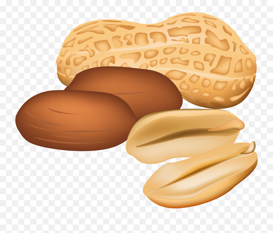 Free Transparent Peanut Download Free - Peanuts Clipart Emoji,Peanut Clipart