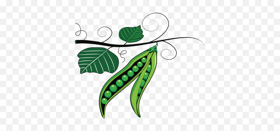 Pea Bean Fruit Vegetable Computer Icons - Mung Beans Plant Transparent Background Peas Clipart Emoji,Vegetable Clipart
