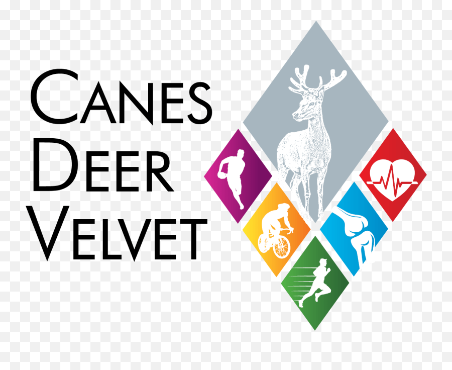 Circulation - Diagram U2013 Canes Deer Velvet Emoji,Canes Logo