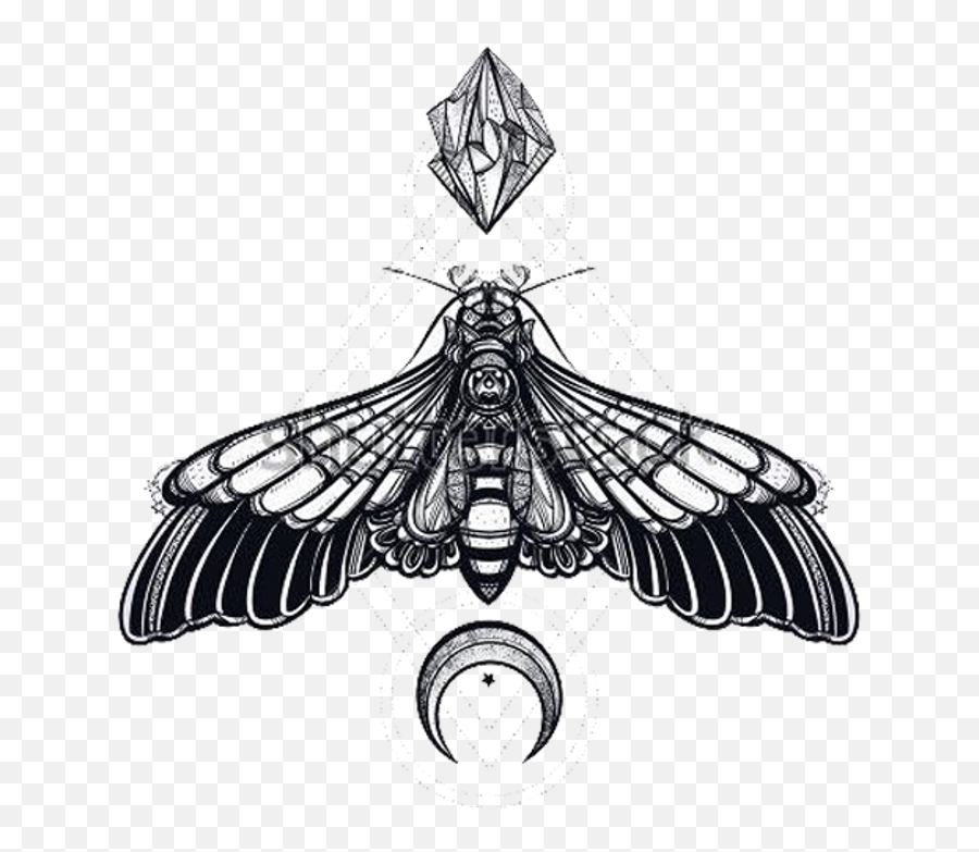 Tattoo Butterfly Moth Transparent Png - Transparent Death Moth Png Emoji,Moth Transparent
