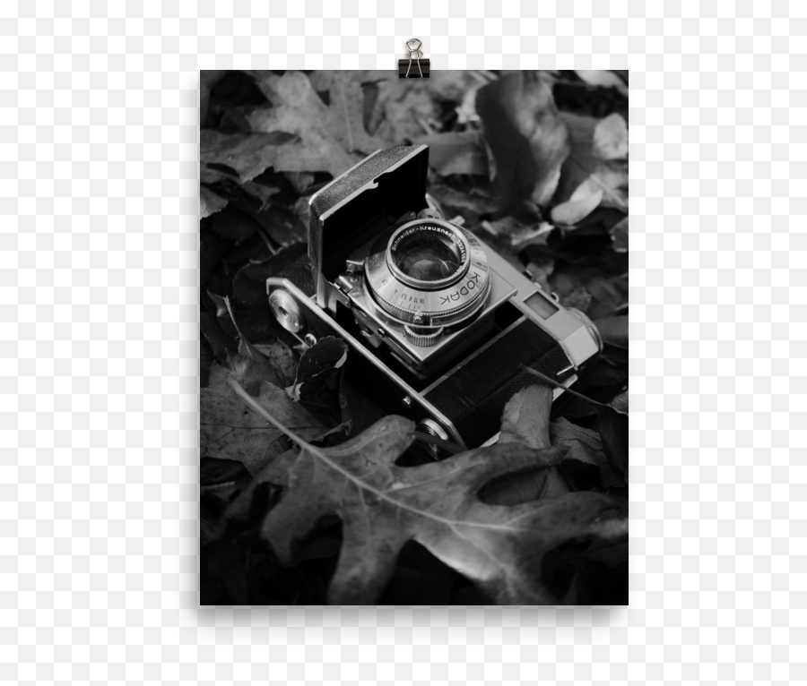 Download Hd Vintage Camera Art Print Rachel Allison Shop - Mirrorless Camera Emoji,Vintage Camera Png