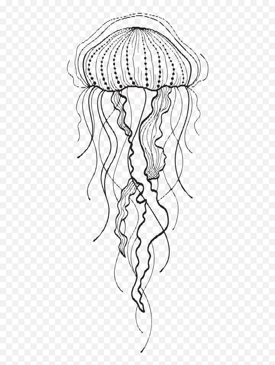 Jellyfish Clipart Sketch Jellyfish Sketch Transparent Free - Vertical Emoji,Jellyfish Clipart