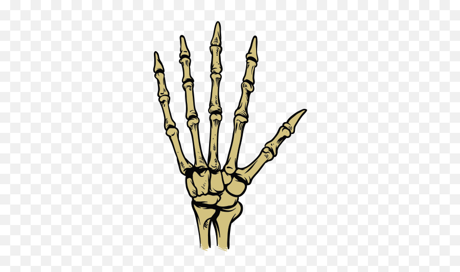 Printed Vinyl Skeleton Hand - Hand Bone Design Emoji,Skeleton Hand Png