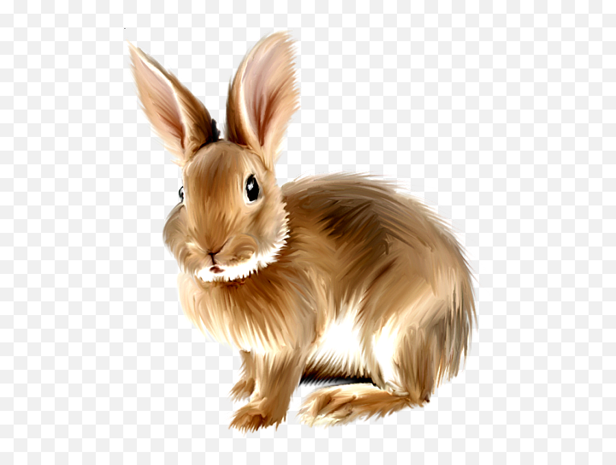 Rabbit Png Clipart Png Image With No - Bunny Clipart Emoji,Bunny Png