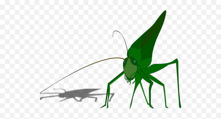 Emeza Grasshopper Png Svg Clip Art For - Clip Art Emoji,Grasshopper Clipart