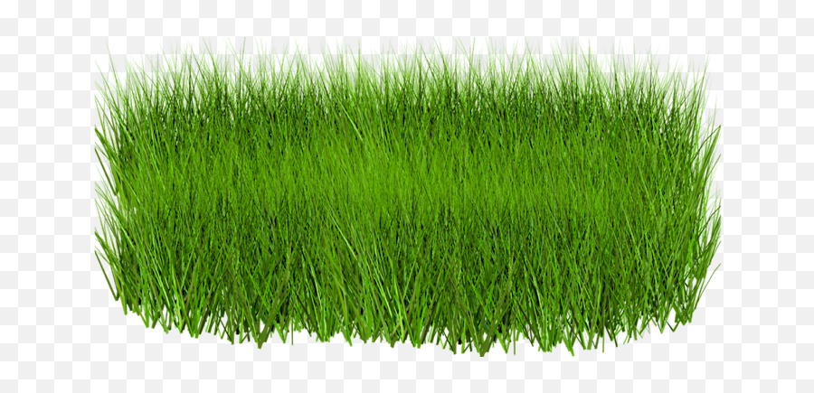 Grass Png Alpha Channel Clipart Images - Grass Full Hd Png Emoji,Grass Transparent Background