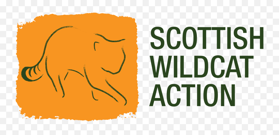 Conservation Of Wildcats In Scotland - Scottish Wildcat Action Emoji,Uk Wildcats Logo