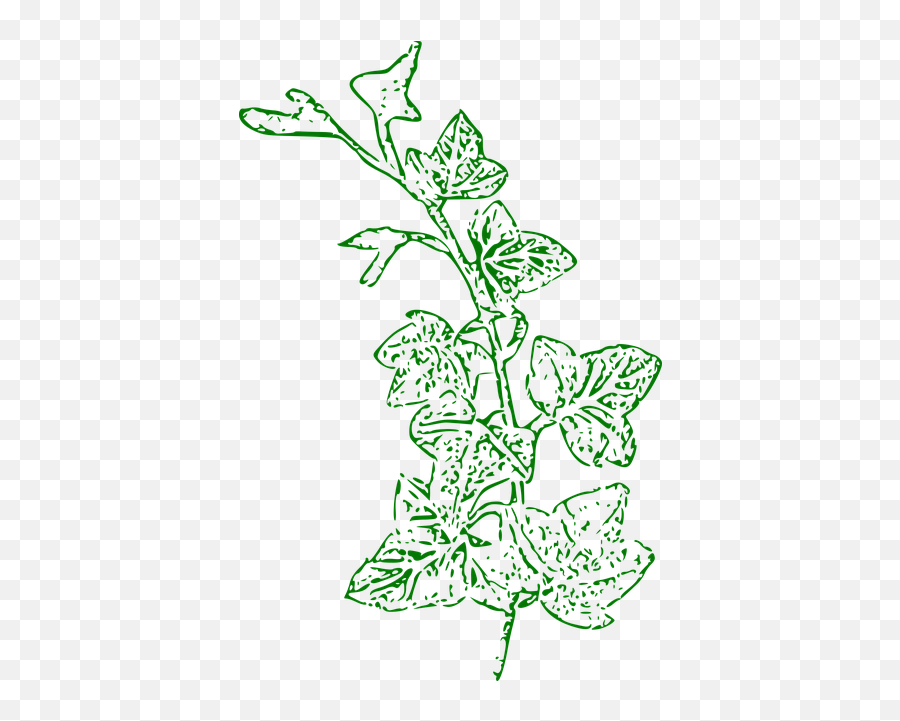 Flowers Leaves - Free Vector Graphic On Pixabay Emoji,Herb Clipart Black And White