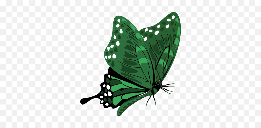 Drawing Of A Butterfly - Decals By Theraymachine Community Emoji,The Very Hungry Caterpillar Clipart