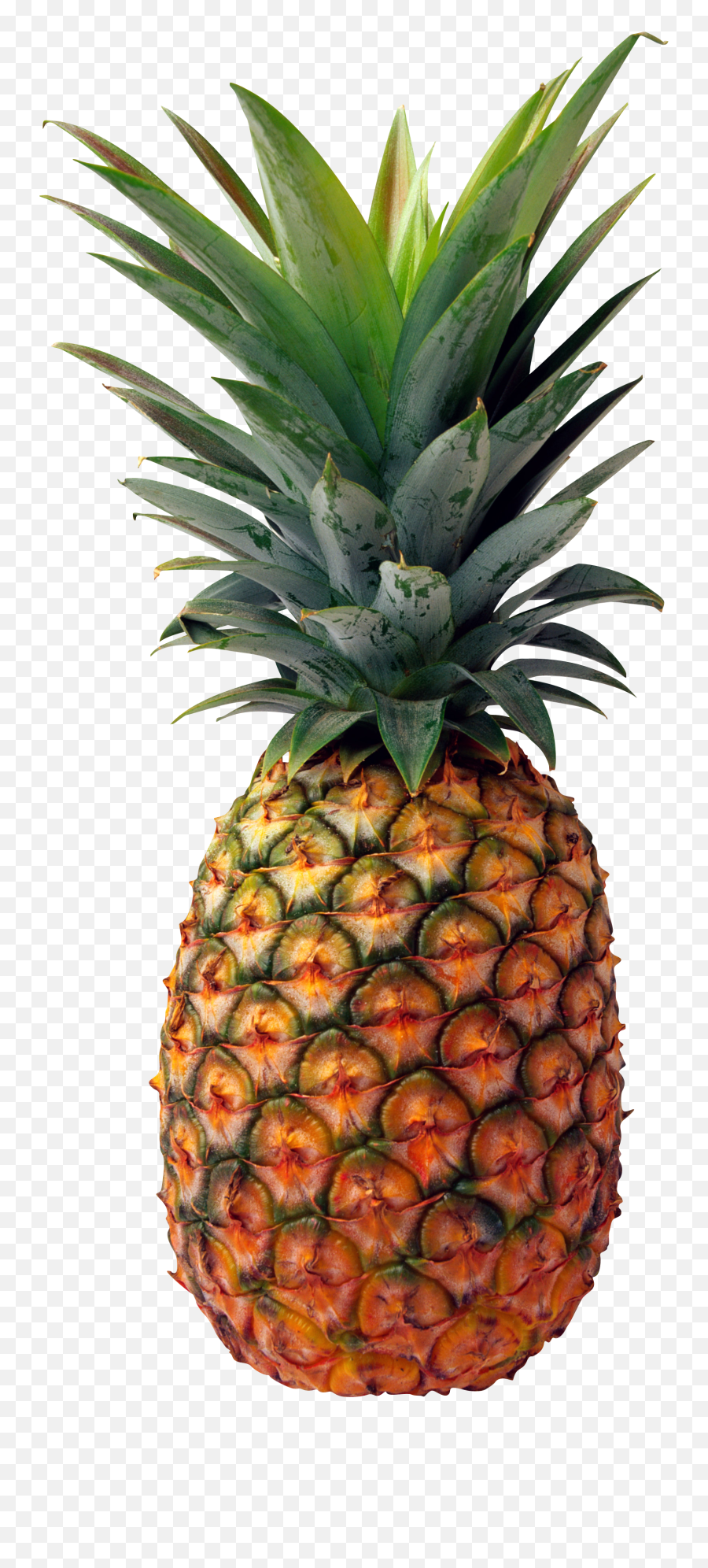 Pineapple Fruit Clipart - Pineapple Png Emoji,Pineapple Clipart