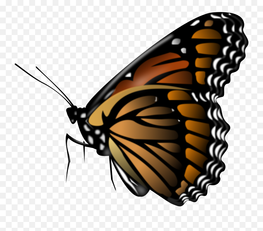Butterfly Png Image - Gambar Kupu Kupu Png Emoji,Butterfly Png