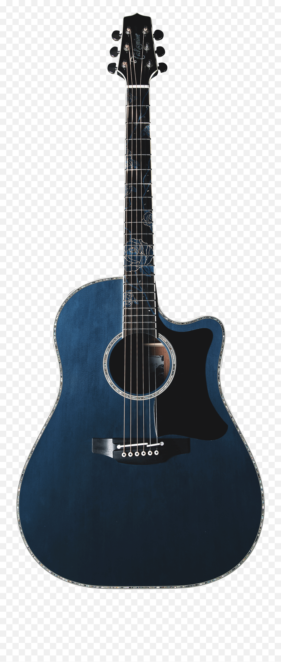 Takamine Guitars Worldwide - Washburn Wd10sceb Emoji,Guitarra Png
