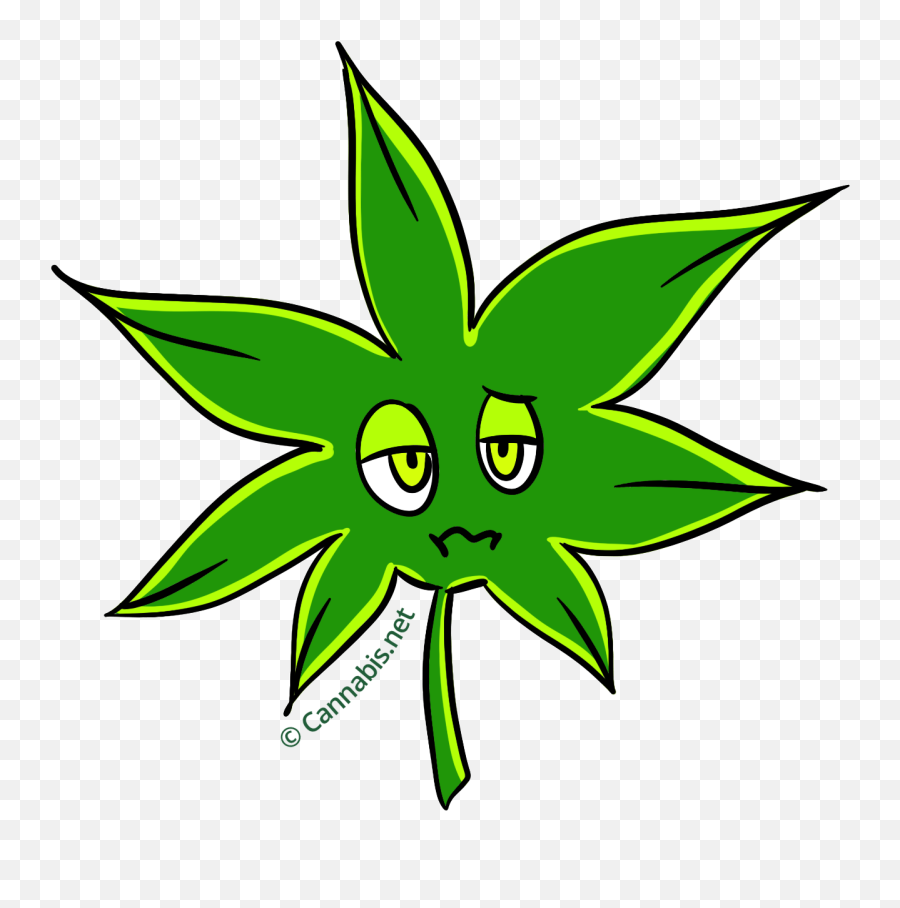Girl Scout Cookies Insomnia - Hoja De Marihuana Con Ojos Png Emoji,Girlscout Cookie Clipart