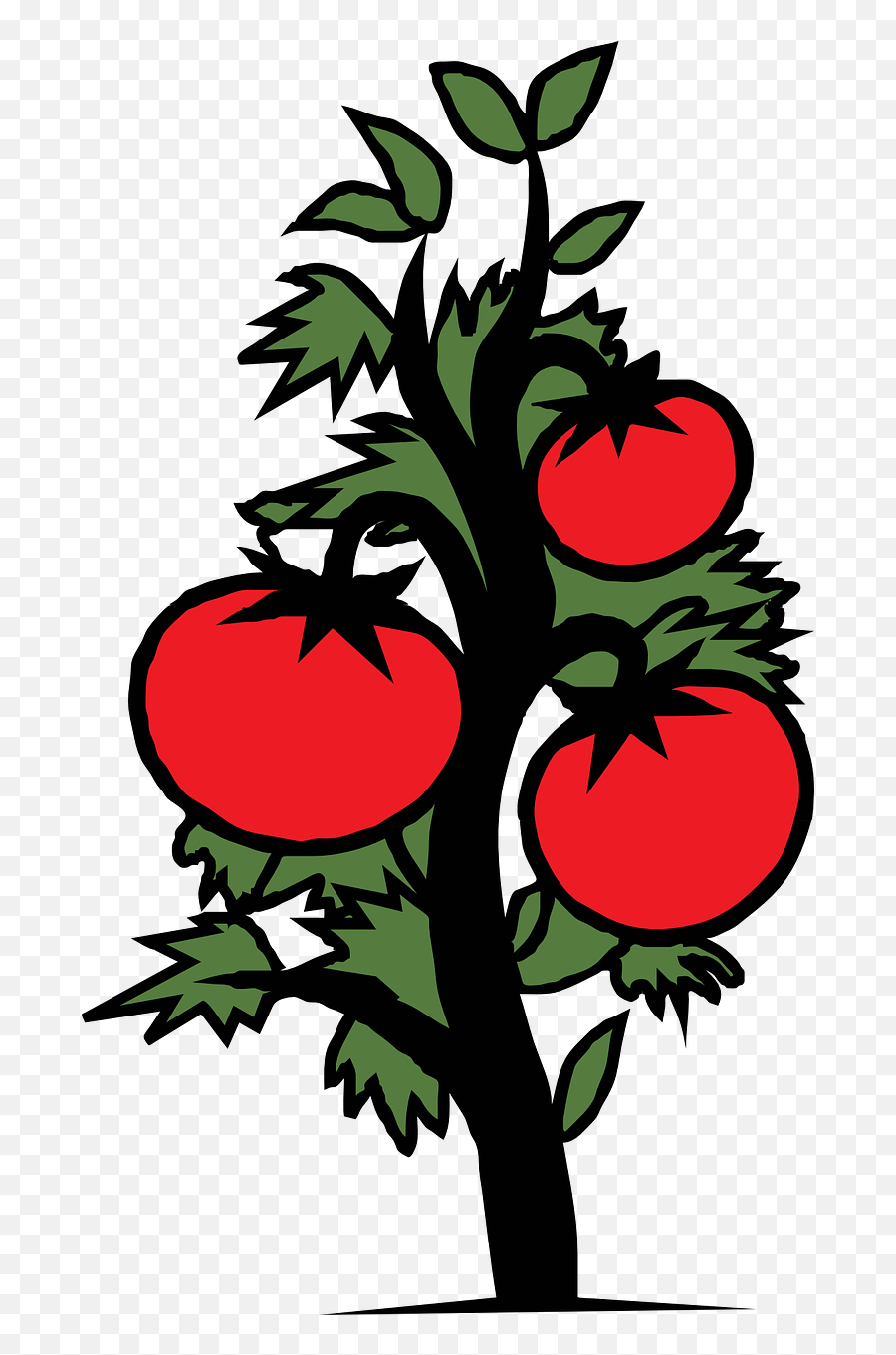 Tomato Plant Vegetable Sick Png Picpng - Tomato Vine Clipart Emoji,Sick Png
