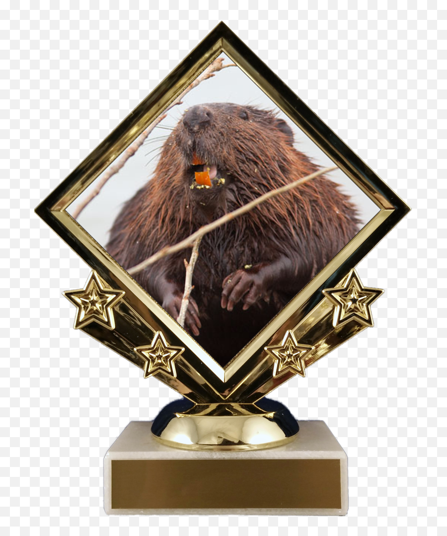 Beaver Logo Diamond Trophy Emoji,Beavers Logo