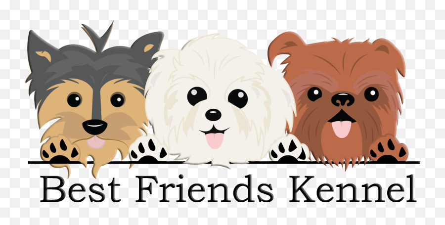 Hudson U2013 Best Friends Kennel Emoji,Yorkie Clipart