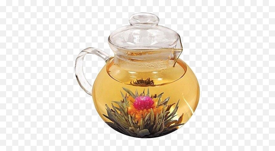 Pin By Solidity On Pngs Tea Pots Glass Tea Kettle Flower Tea Emoji,Tea Pot Png