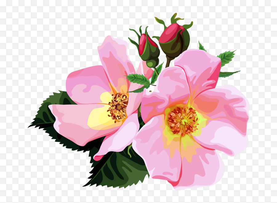 Library Of Transparent Pink Flower Crown Clip Freeuse - Transparent Flowers Bloom Gif Emoji,Flower Crown Png