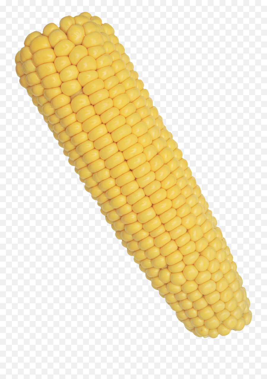 Corn Solo Transparent Png - Corn Png Emoji,Corn Png