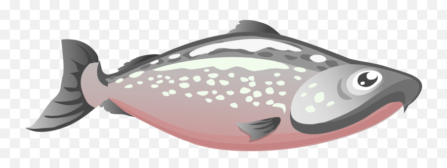 Pink Jaw Fish Png Clipart - Chinook Salmon Transparent Png Emoji,Salmon Clipart