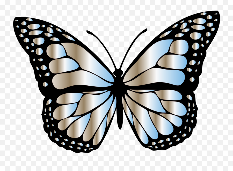 Butterflysymmetrymoth - Butterfly Picture For Kids Clipart Butterfly Design Emoji,Moth Clipart