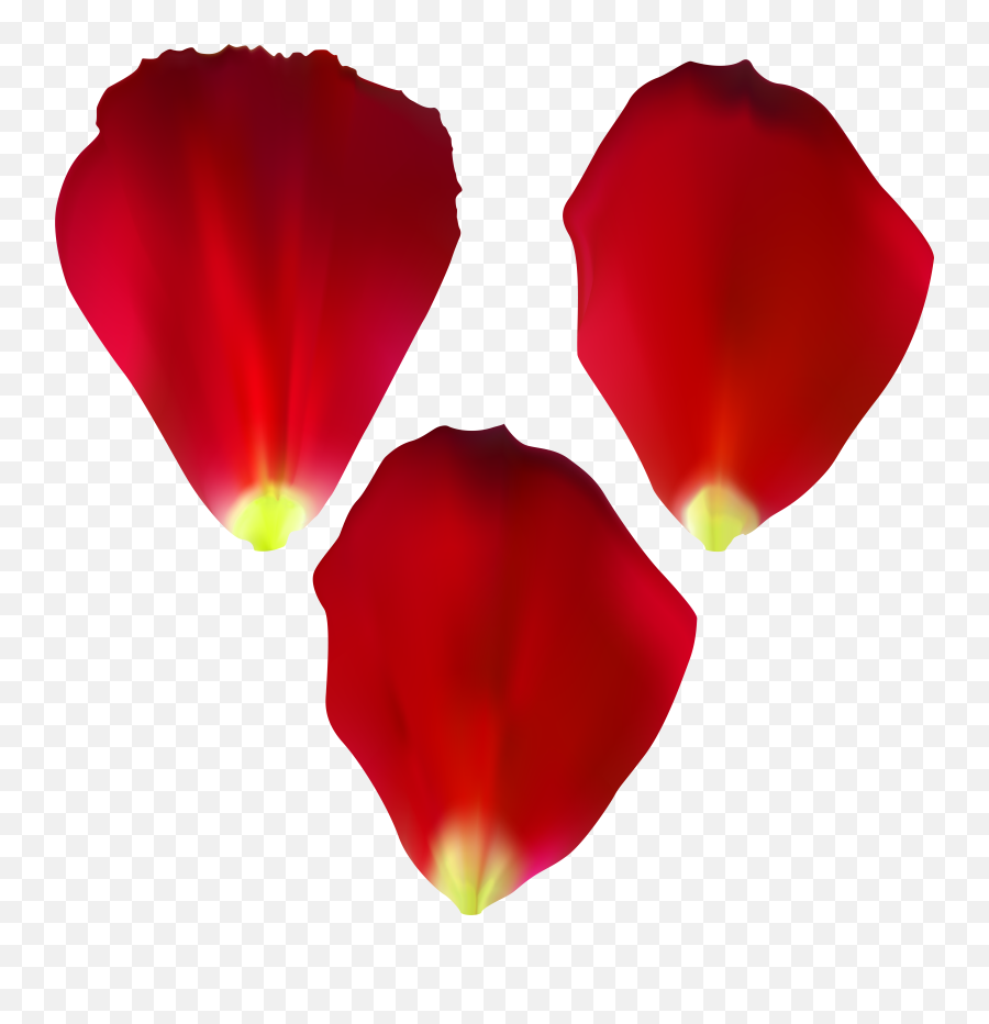 Download Hd Rose Petals Png Transparent Png Image - Nicepngcom Emoji,Rose Petals Png