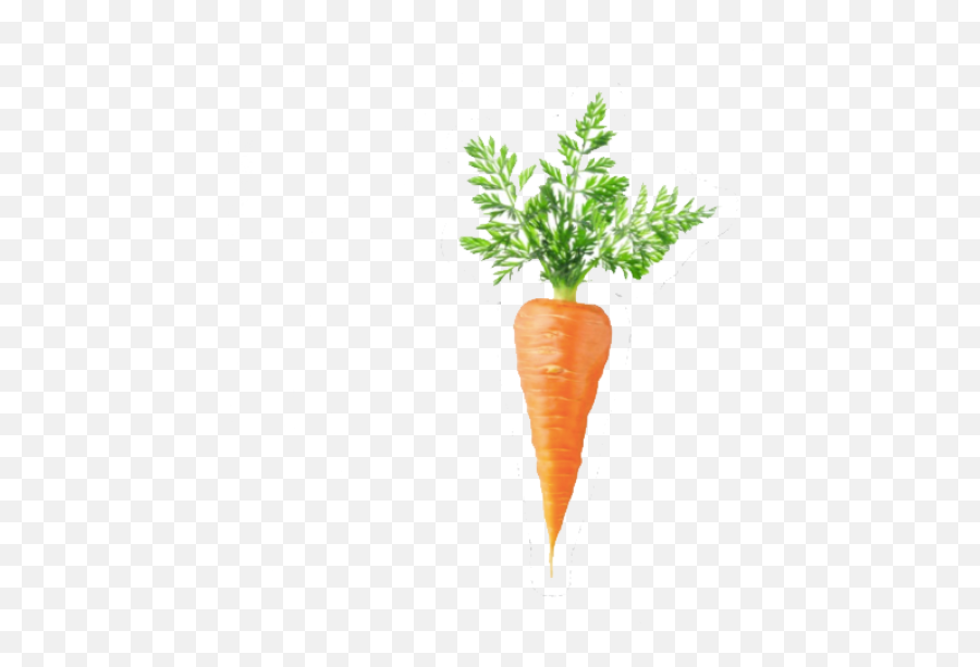 Tags - Superfood Emoji,Carrot Png
