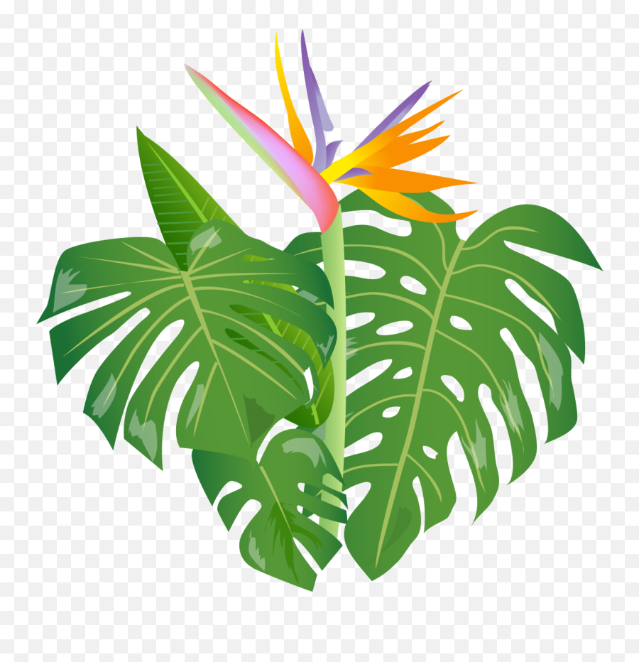 Shrub Clipart Jungle - Clip Art Png Download Full Size Png Jungle Leaves Emoji,Rainforest Clipart