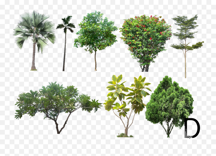 Download 20 Tree Png Images For - Architecture Tree Cut Outs Emoji,Trees Png