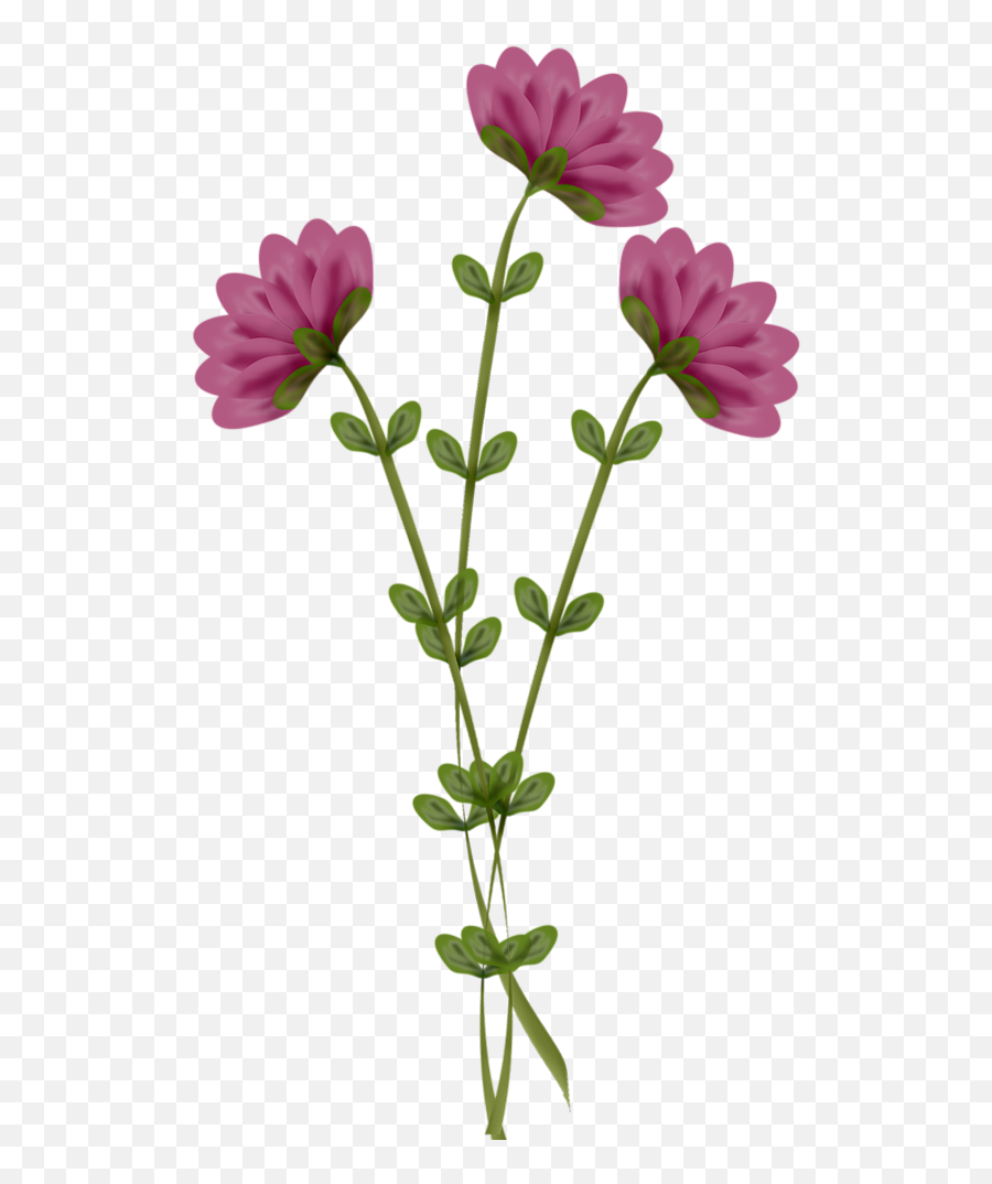 Flower59 - Geraniums Emoji,May Flowers Clipart