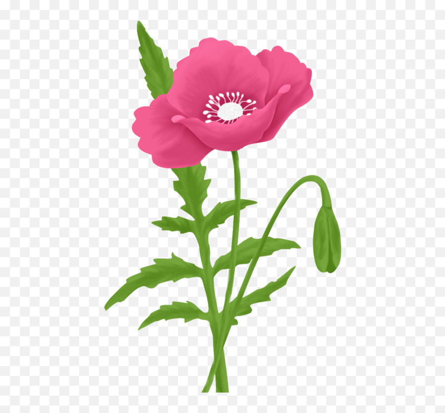 Flower Pictures Views Album Poppies Clip Art Garden - Embroidery Emoji,Poppy Flower Clipart