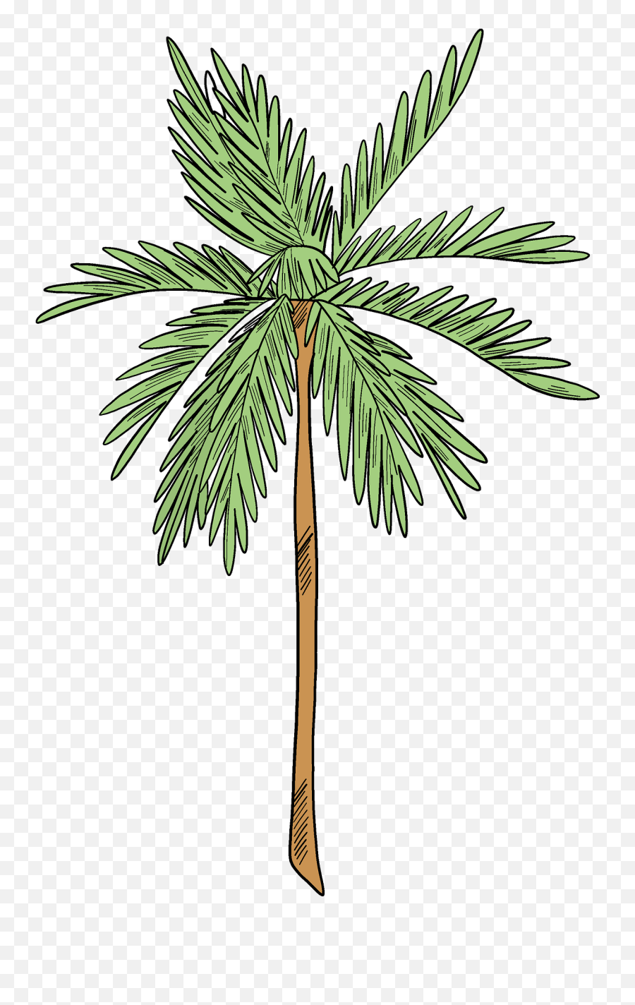 Palm Tree Clipart Free Download Transparent Png Creazilla - Fresh Emoji,Palm Tree Clipart
