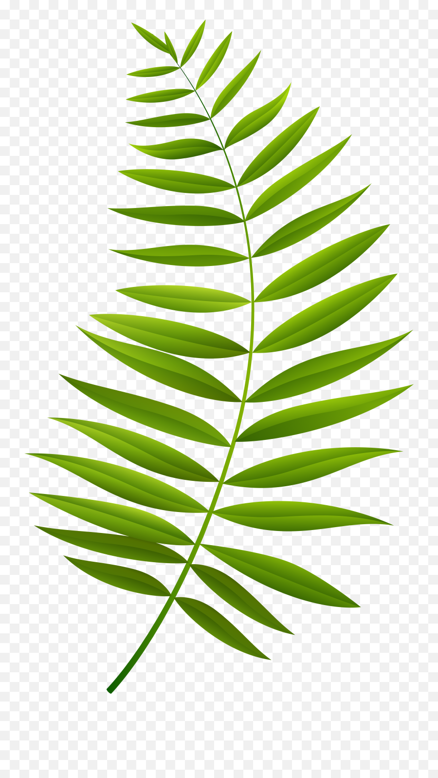 Free Palm Branch Cliparts Png Images - Transparent Palm Branch Clipart Emoji,Palm Sunday Clipart Free