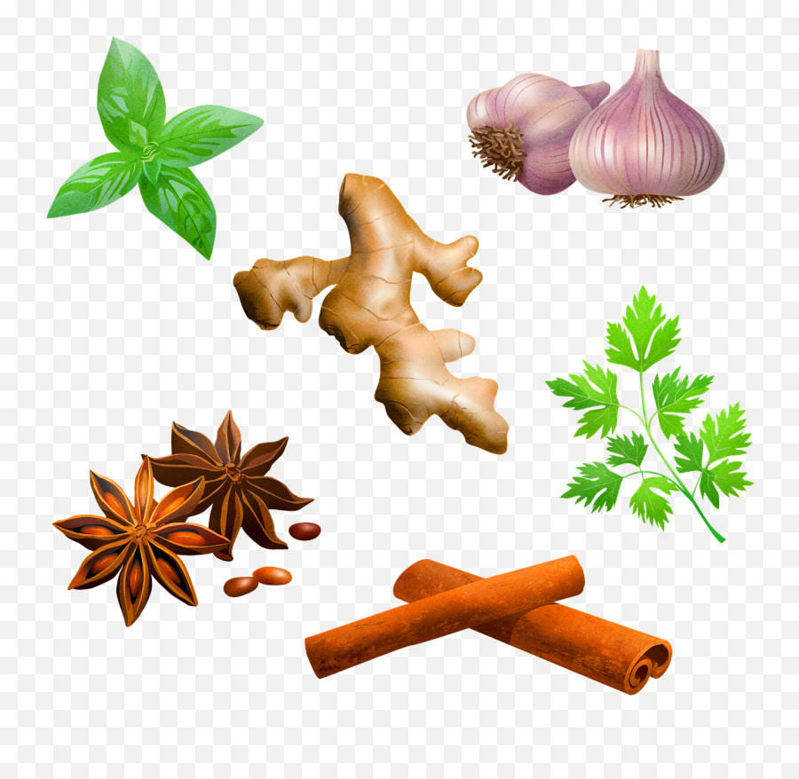 Spices Garlic Peppermint - Free Image On Pixabay Gambar Kayu Manis Kartun Emoji,Spice Clipart