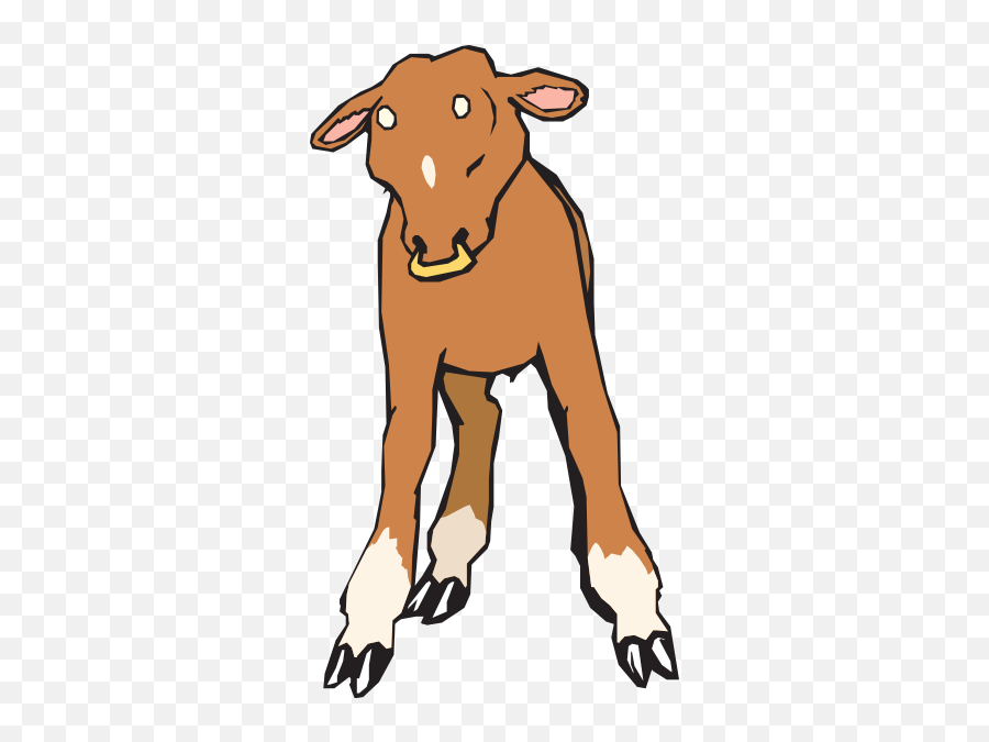 Baby Calf Clipart Calf With Nose Ring Clip Art Ey7rcn Emoji,Transparent Nose Rings