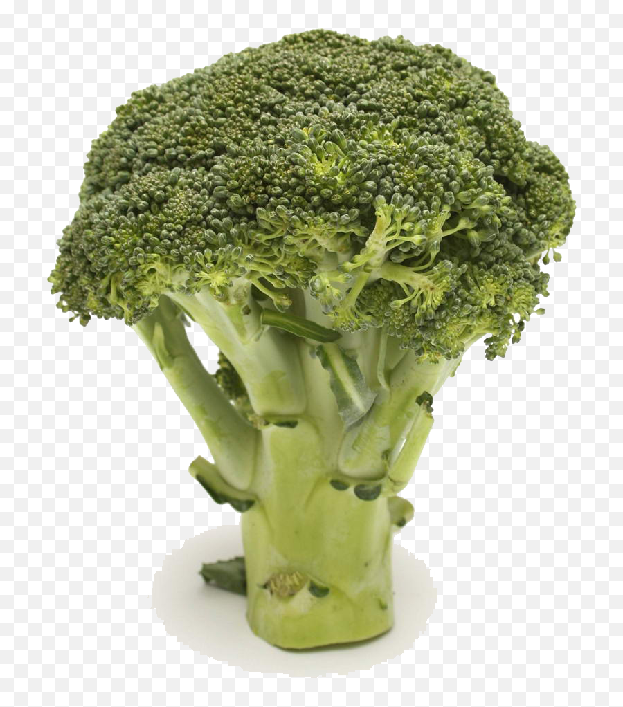 Broccoli Vegetable Food Health Cauliflower - Cauliflower Png Broccolini Emoji,Broccoli Clipart