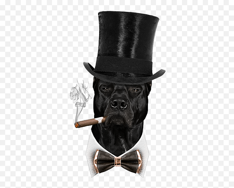 Dog Cigar Png - Cylinder Emoji,Cigar Png