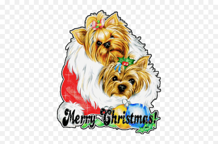 Wallpapper Adventur Christmas Greetings Merry Christmas - Yorkie Merry Christmas Gif Emoji,Christmas Background Clipart