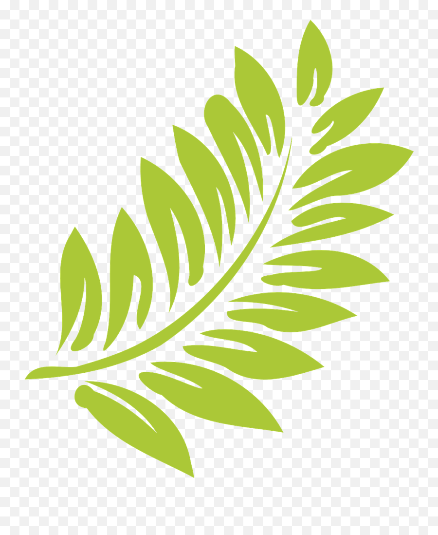 Leaf Green Light Nature Summer Png Picpng - Hawaiian Leaves And Flowers Clipart Emoji,Summer Png