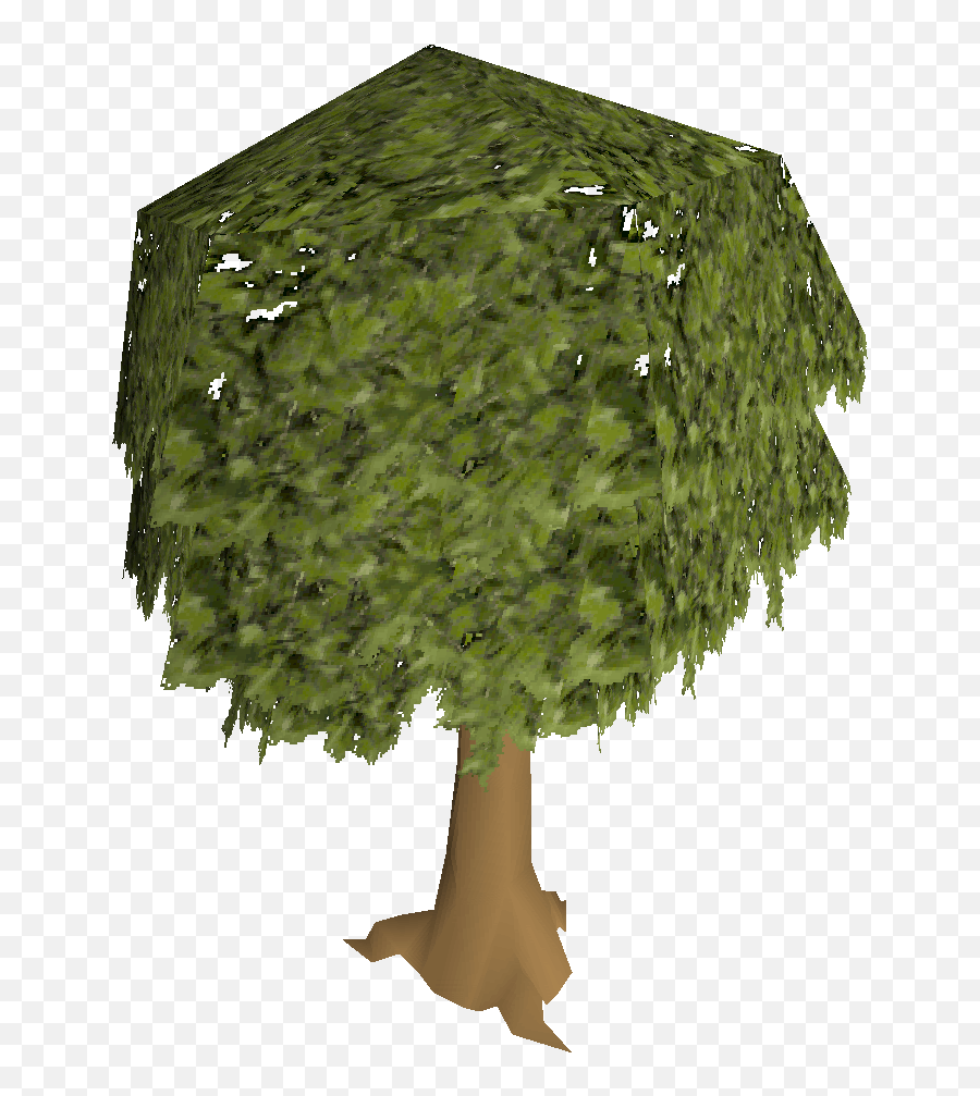 Oak Tree - Osrs Tree Png Emoji,Oak Tree Png