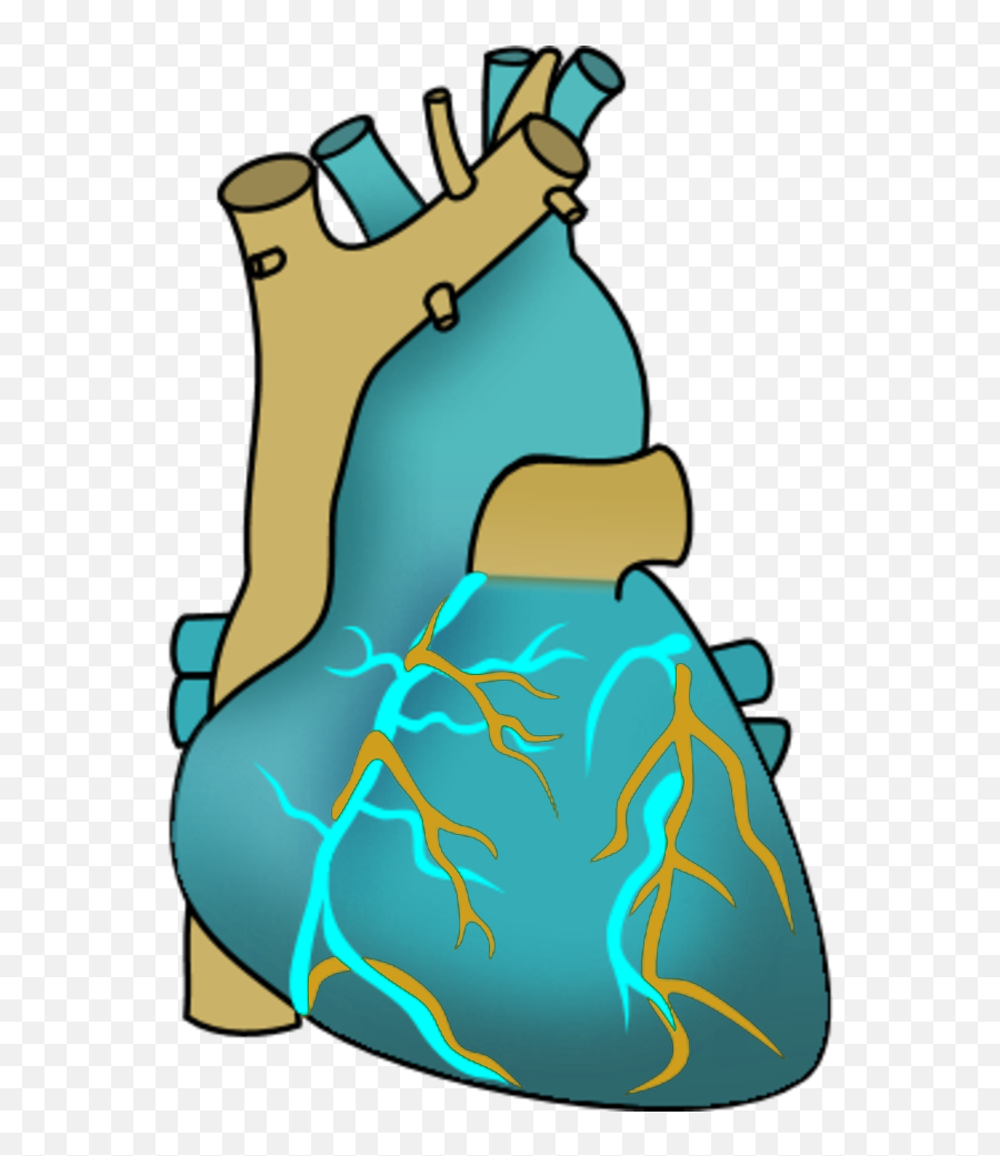 Human Heart - Vector Clip Art Clipartsco Heart Emoji,Human Heart Png
